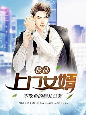 极品女婿秦浩