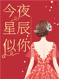 今夜星辰似你陆淮左唐苏