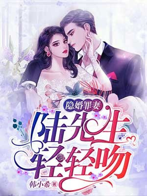 隐婚罪妻陆以靳夏程璧