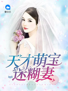 天才萌宝迷糊妻