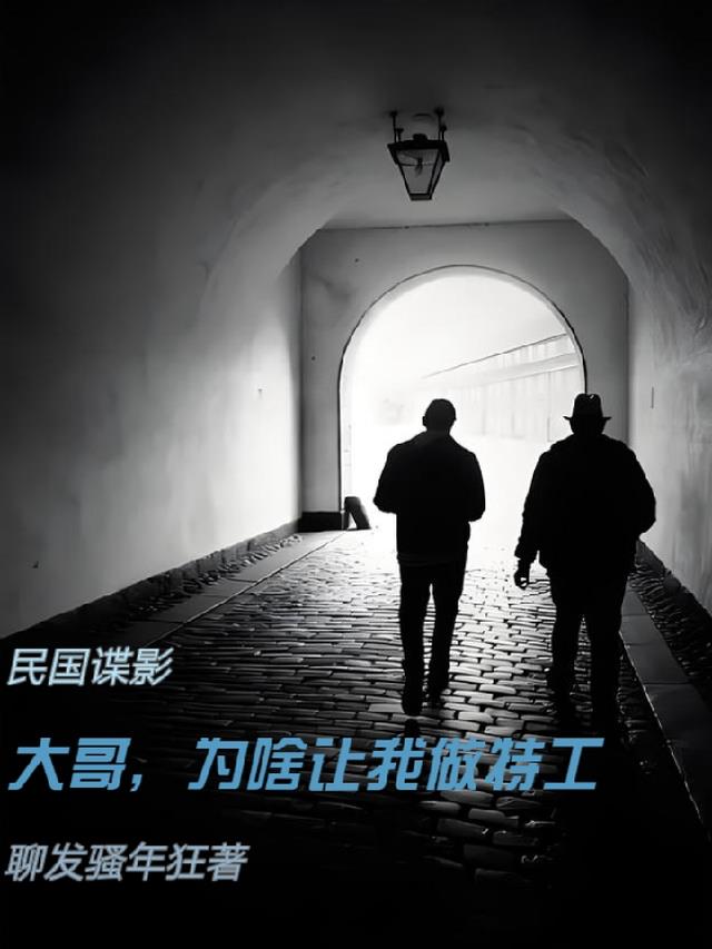 民国谍影：大哥,为啥让我做特工