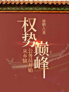 权势巅峰：从乡镇公务员开始