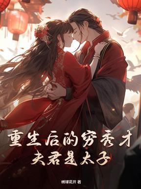 重生后的穷秀才夫君是太子
